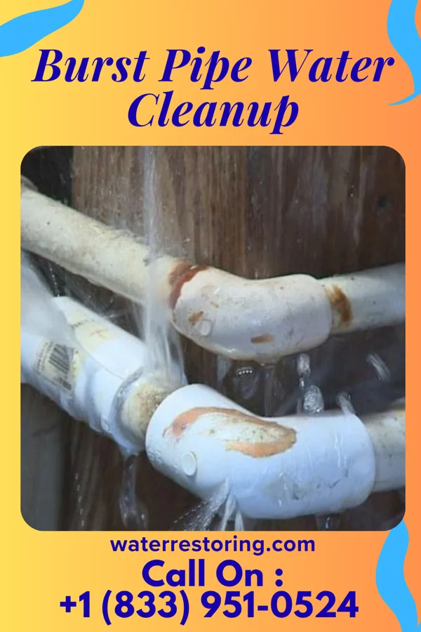 Burst Pipe Water Cleanup in Carthage, IL